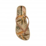 Σαγιονάρες Ipanema 780-25353| Papoutsomania.gr Σαγιονάρες Ipanema 780-25353| Papoutsomania.gr